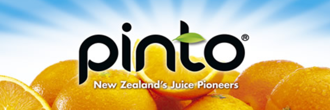 PINTO Party Punch Concentrate 2L image 2